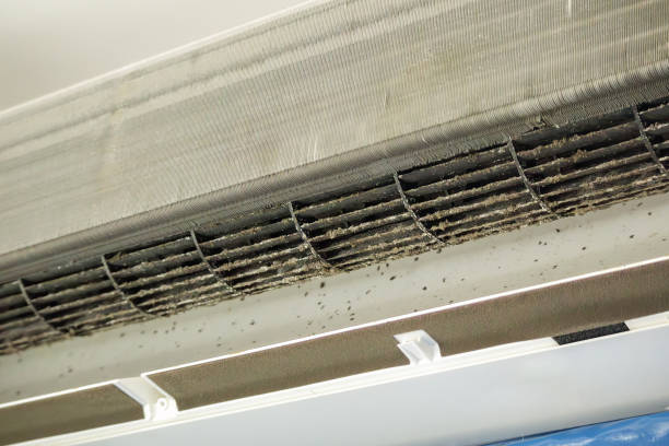 Best Air Quality Test  in Long Beach, CA
